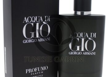 Armani Acqua Di Gio Profumo Edp 100ml